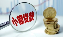 成都9哪里可以小额贷款-成都9哪里有民间借贷-成都9民间短期私借借款